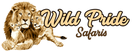 Wild Pride Safaris