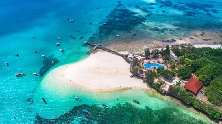 Snorkeling and Diving