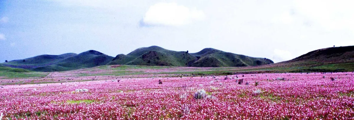 Kitulo National Park