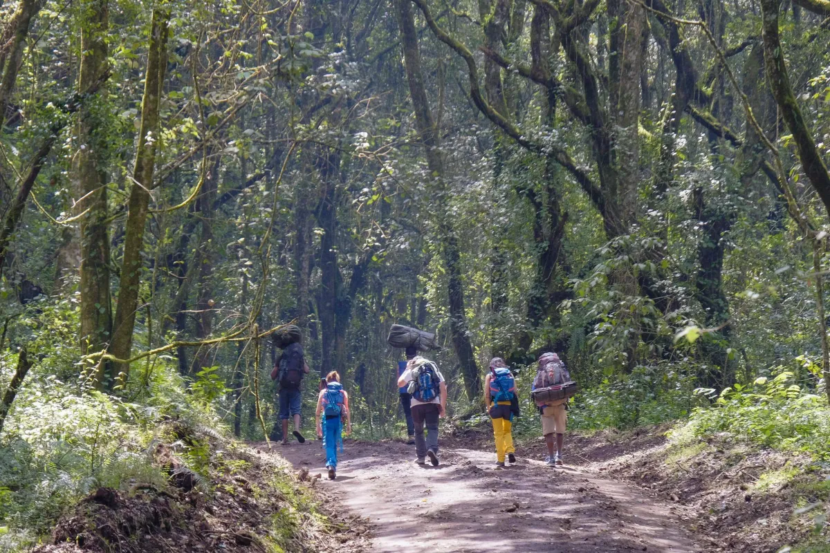 6 Days Kilimanjaro Rongai Route