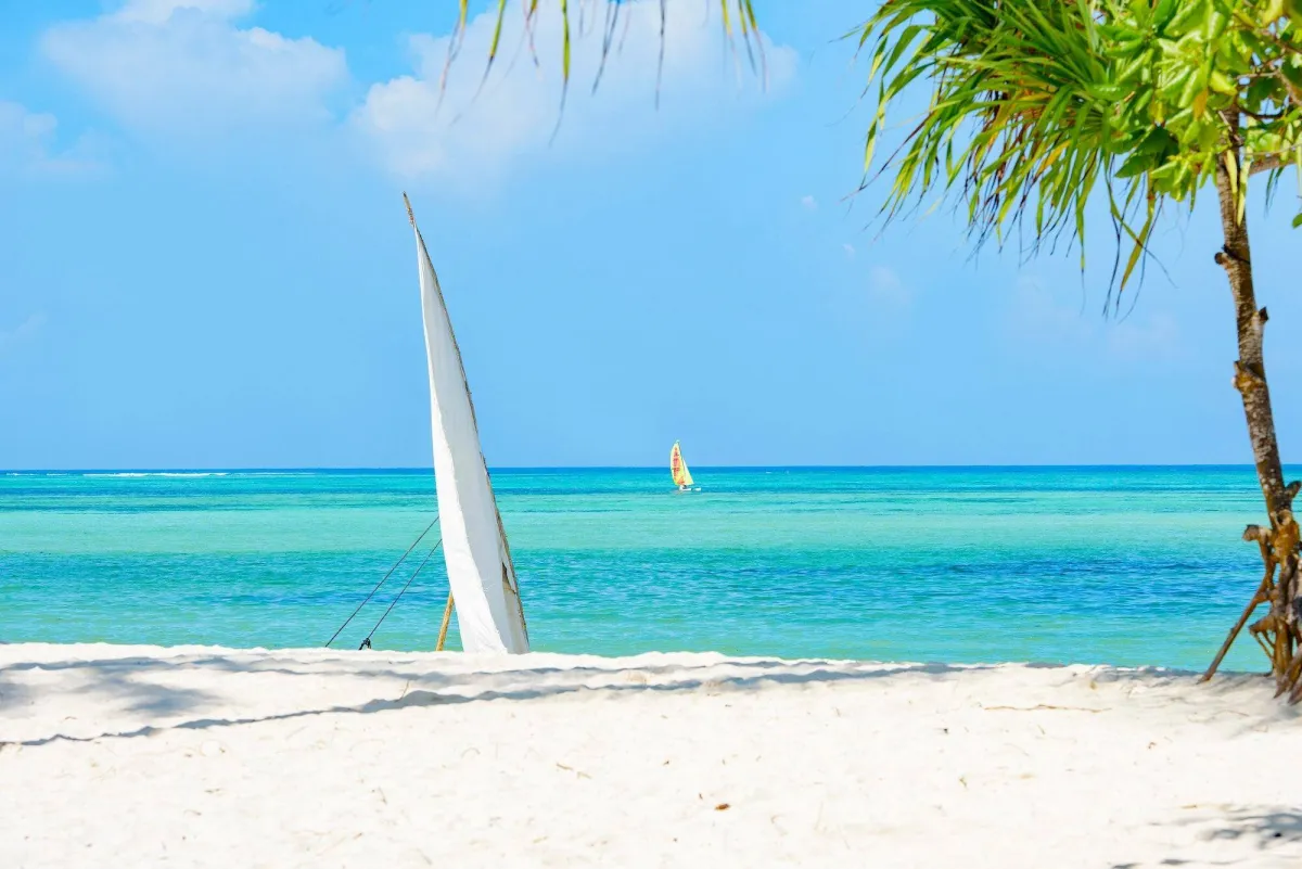 Zanzibar landscape