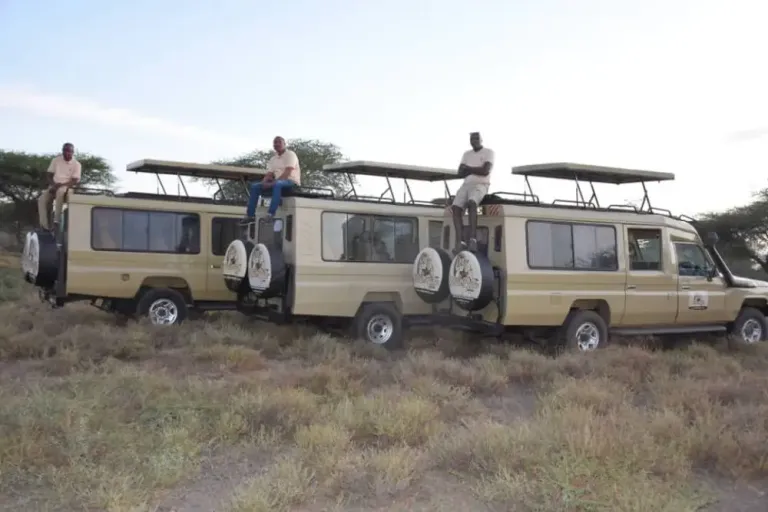 Wild Pride Safaris guides with three of the company’s branded safari Land Cruisers