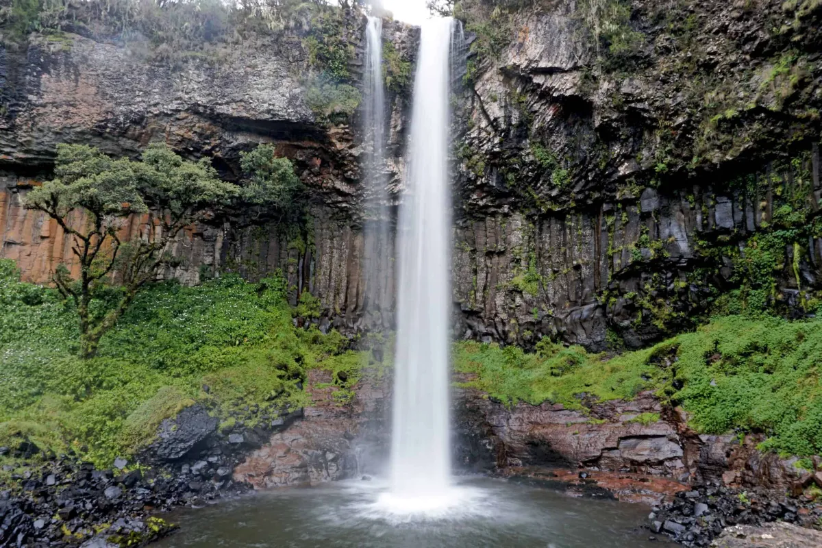 Aberdare National Park