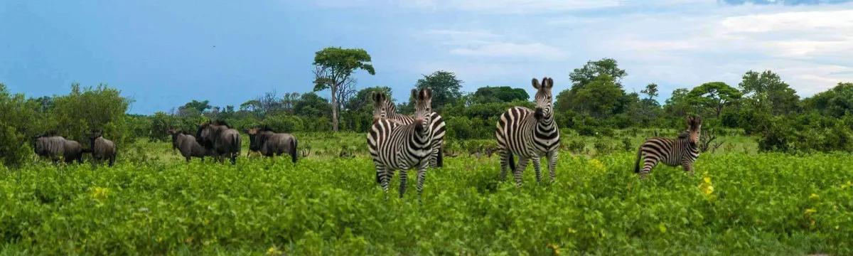 Mudumu National Park