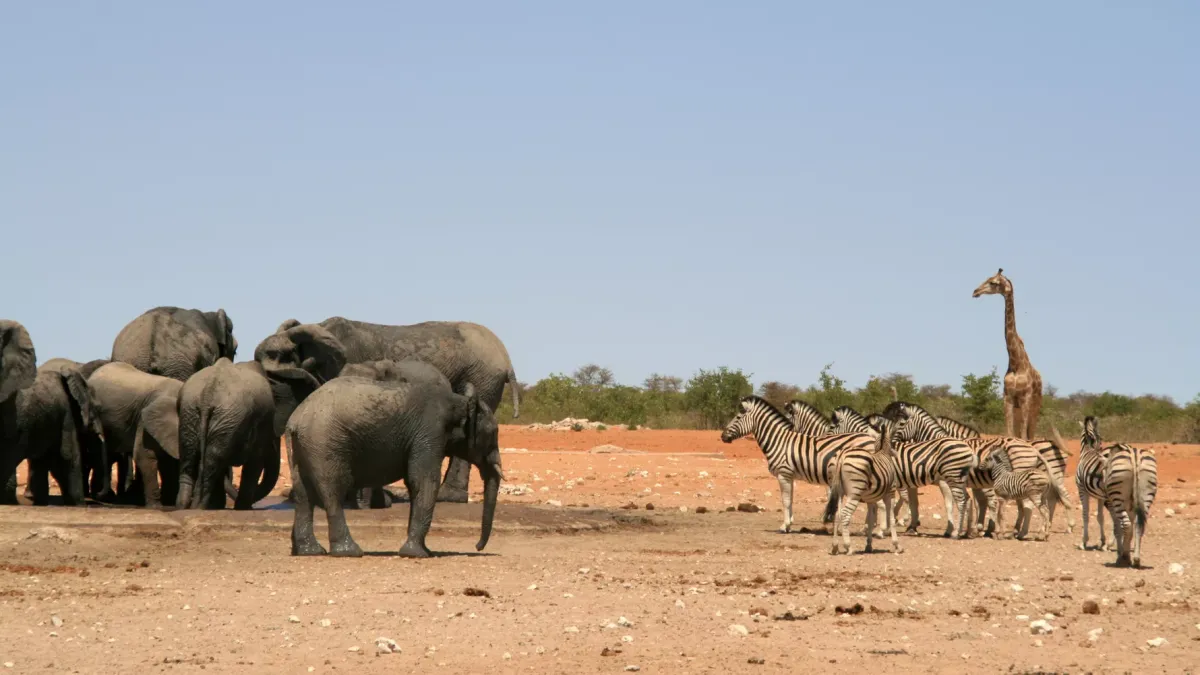 Namibia