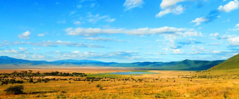 Ngorongoro Conservation Area