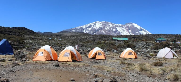 7 Days Kilimanjaro Lemosho Route