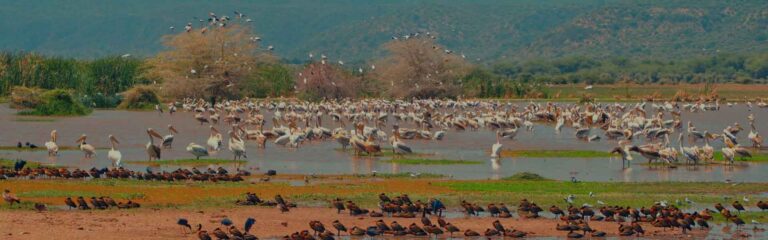 Lake Manyara National Park