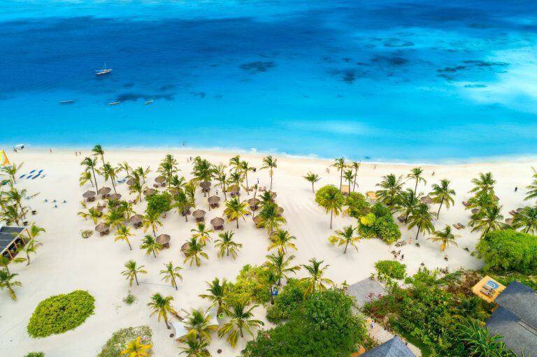 Aerial view of umbrellas, green palms on the sandy beach