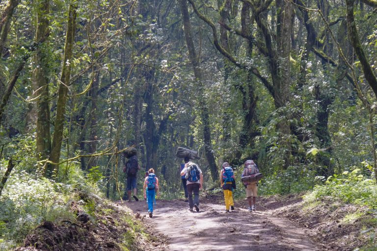 6 Days Kilimanjaro Rongai Route