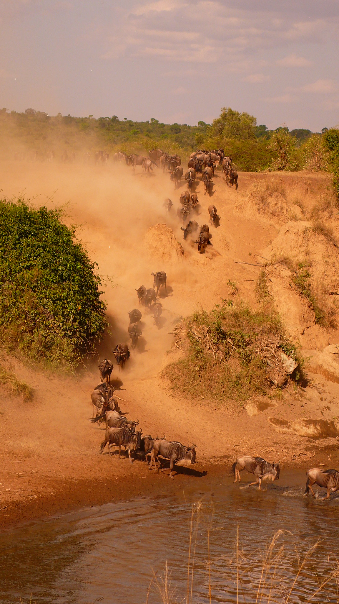 8 Nights / 9 Days Lake Manyara National Park, Serengeti National Park, Ngorongoro Conservation Area & Tarangire National Park