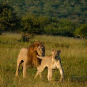 2 Nights / 3 Days Tarangire National Park, Ngorongoro Conservation Area & Lake Manyara National Park