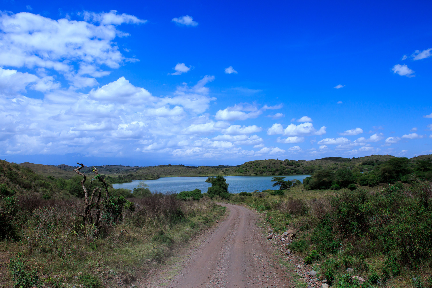 6-Day Northern Tanzania Safari- Mid Range