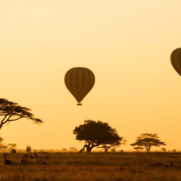 7-Day Unforgettable Tanzania Luxury Safari
