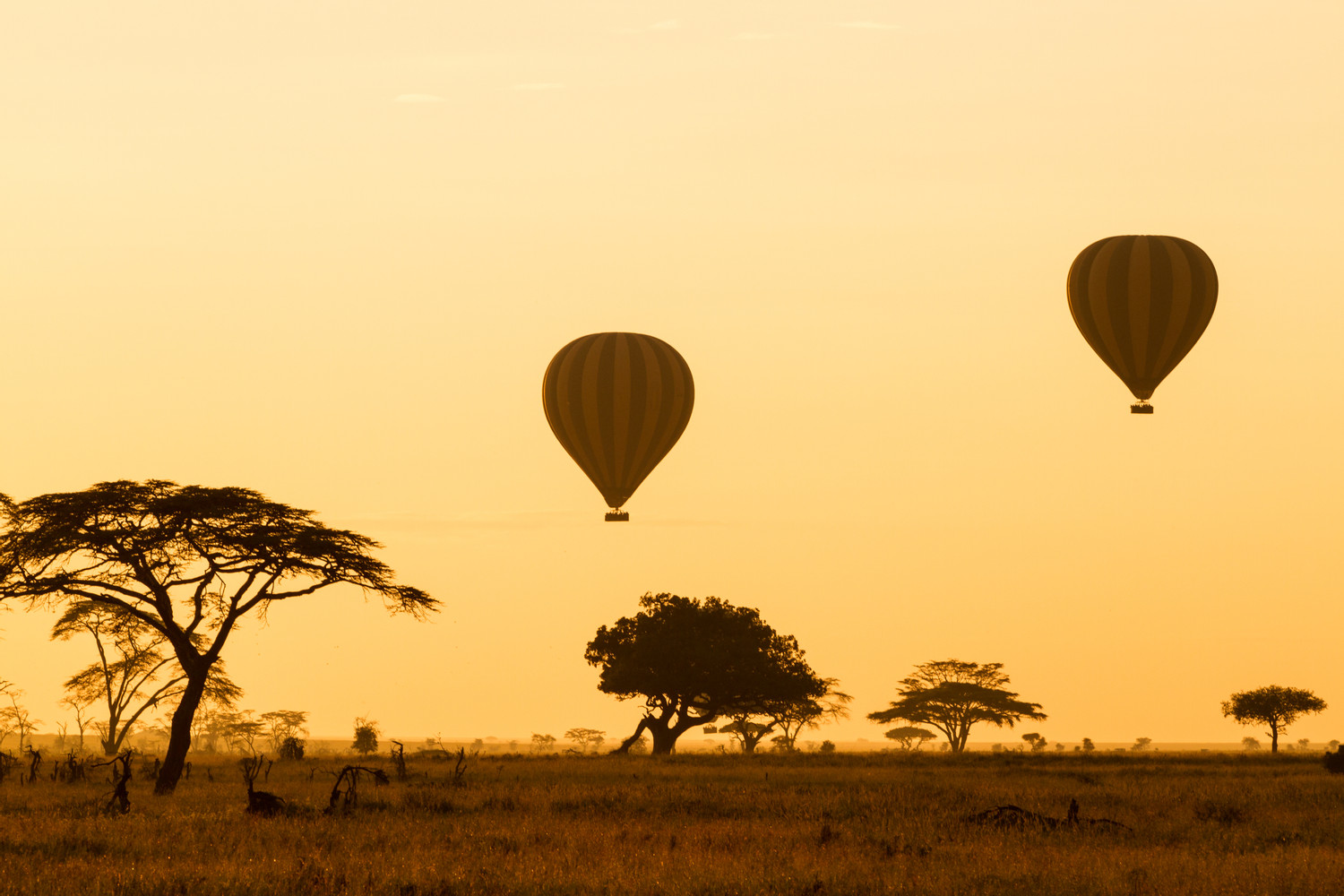 7-Day Unforgettable Tanzania Luxury Safari