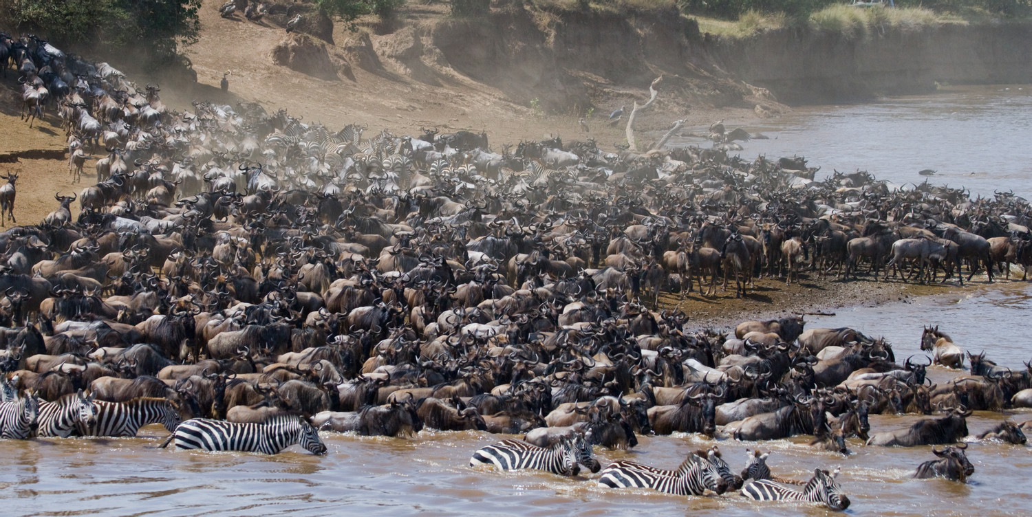 7-Day The Great Migration Serengeti & Ngorongoro Crater