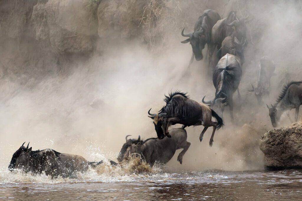 Serengeti Luxury Safari