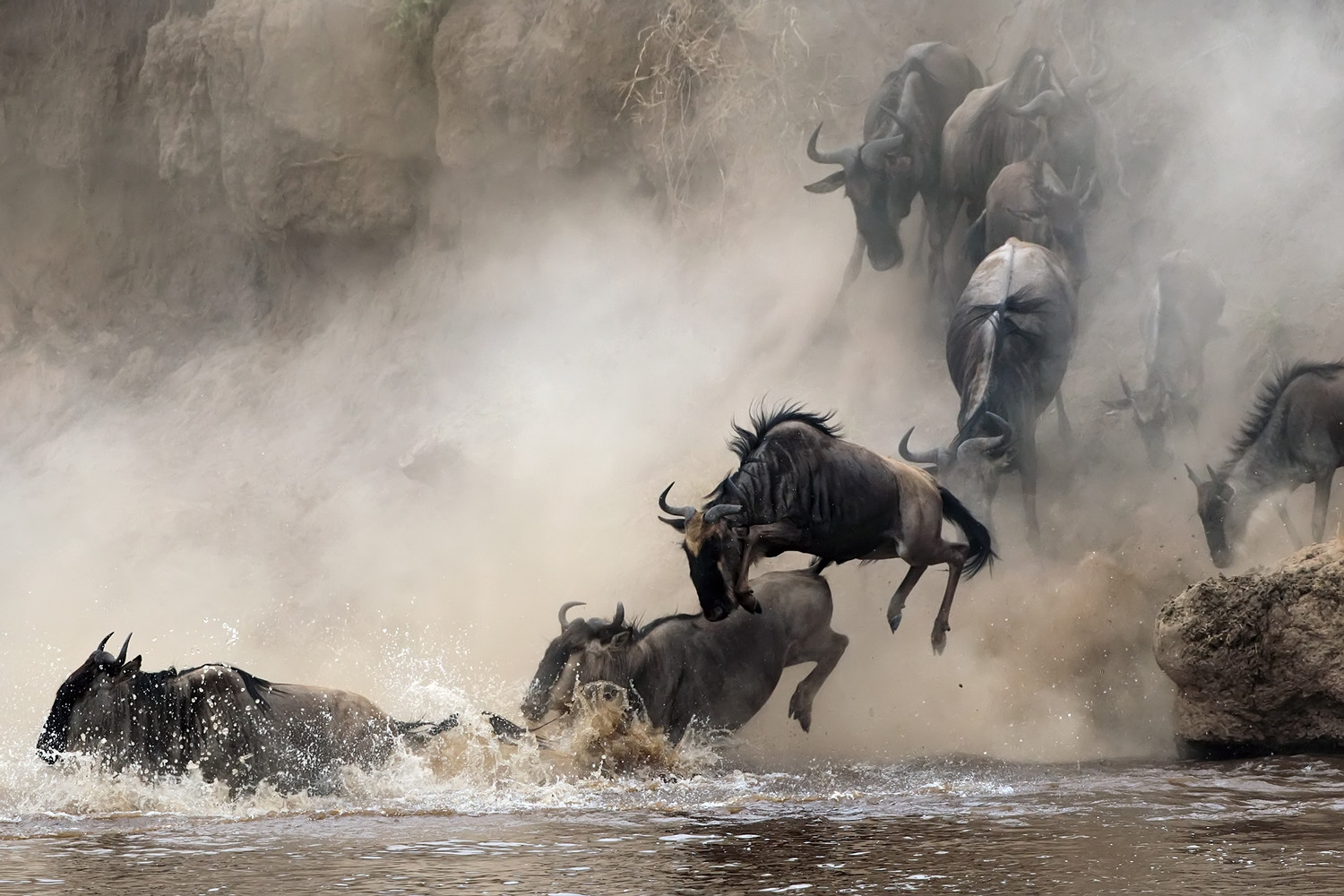 4-Day Fly in Serengeti Luxury Safari the Great Migration