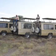 2 Nights / 3 Days Lake Manyara National Park, Ngorongoro Conservation Area & Tarangire National Park