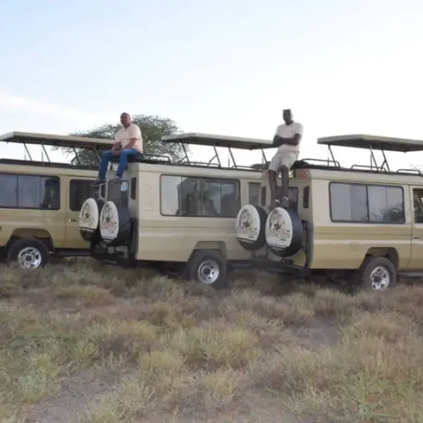 2 Nights / 3 Days Lake Manyara National Park, Ngorongoro Conservation Area & Tarangire National Park