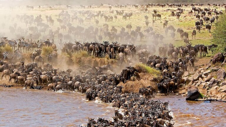 4-Day Fly in Serengeti Migration Luxury Safari