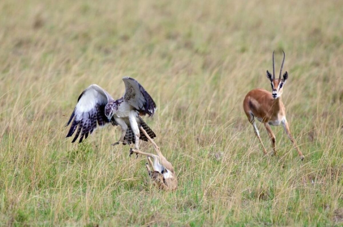 3 Days / 2 Nights – Delightful Samburu