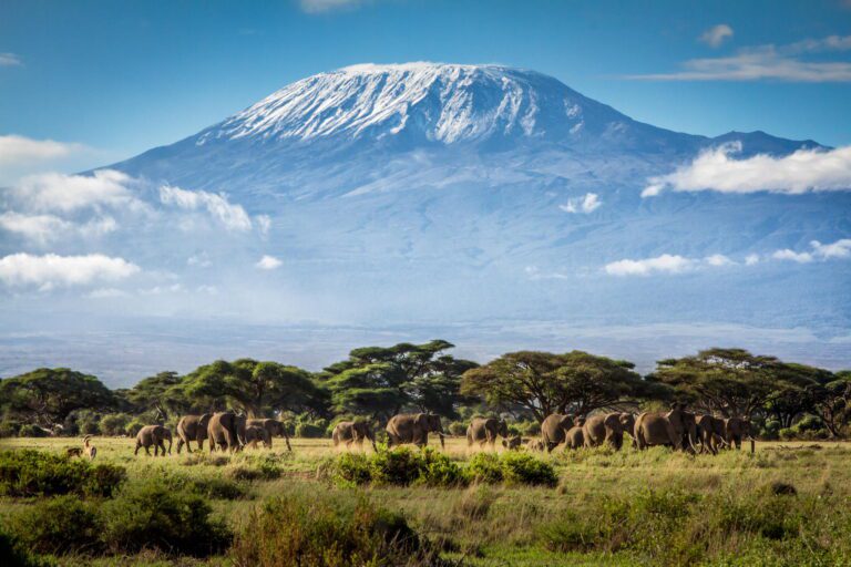 3 Days / 2 Nights – Discover the Beauty of Amboseli (Road Package)