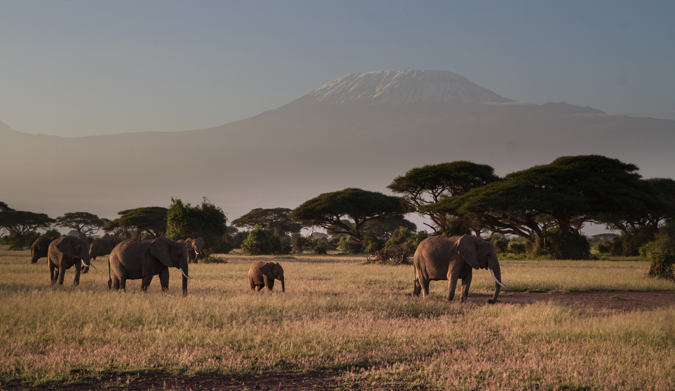 7 Days / 6 Nights – Remarkable Amboseli, Rift Valley, and Masai Mara Combo