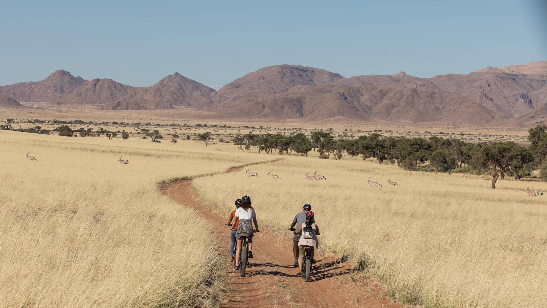 8 Days Explore Namibia (Private Guided Tour)