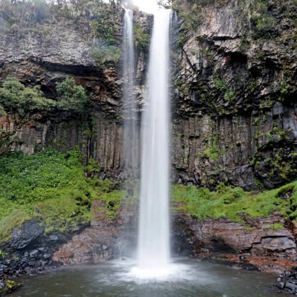 Aberdare National Park