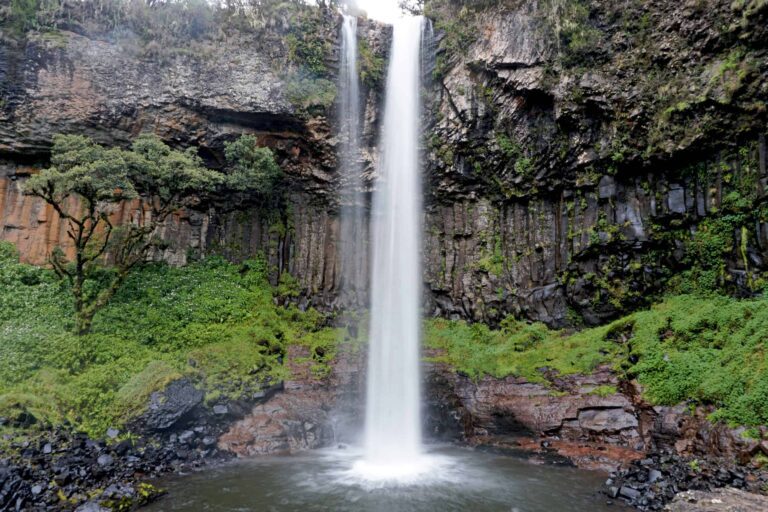 Aberdare National Park