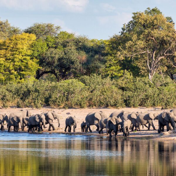 Bwabwata National Park