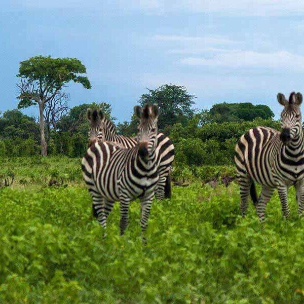 Mudumu National Park