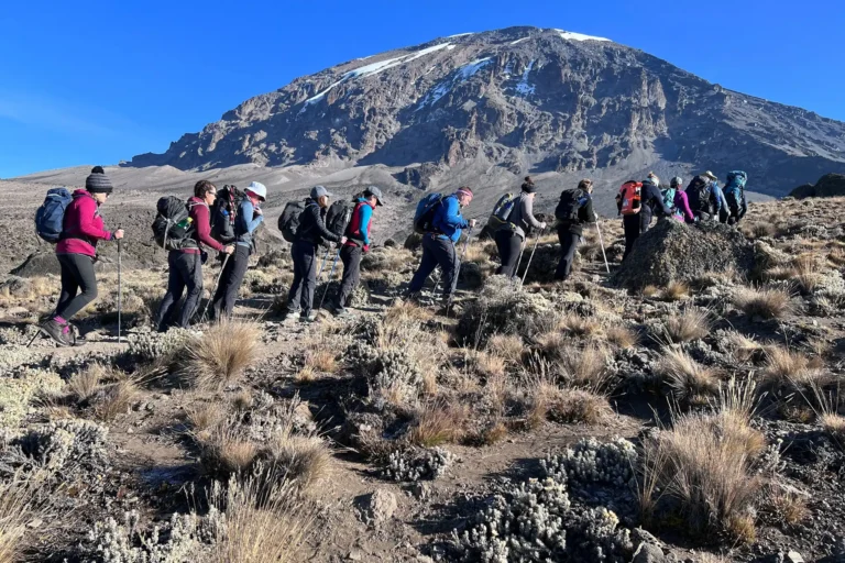Trekking Tour Packages in Tanzania