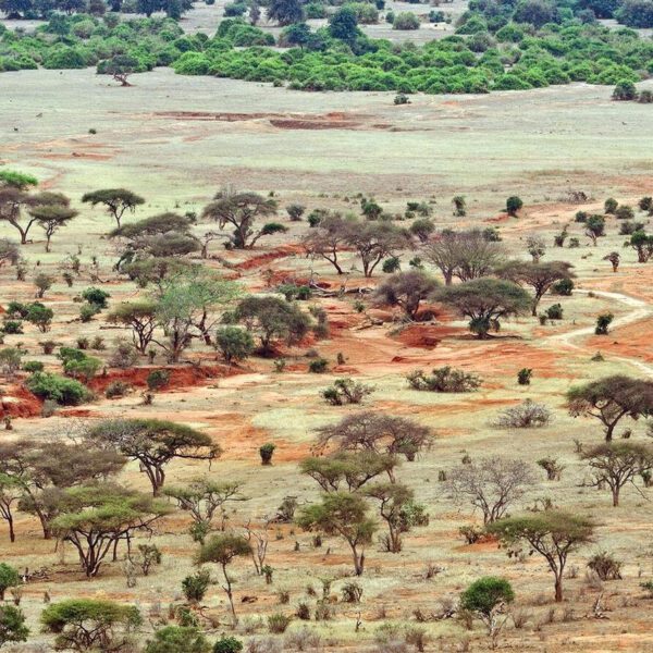 Tsavo East National Park