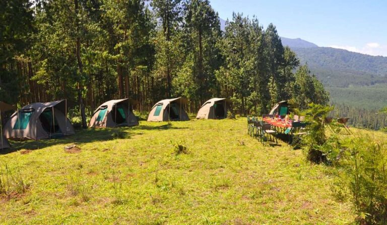 Budget Tanzania Safari Guide for U.S. Travelers (Save Without Missing Out)