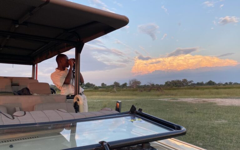 How Long Should a Safari Be? Perfect Itinerary Length for U.S. Travelers