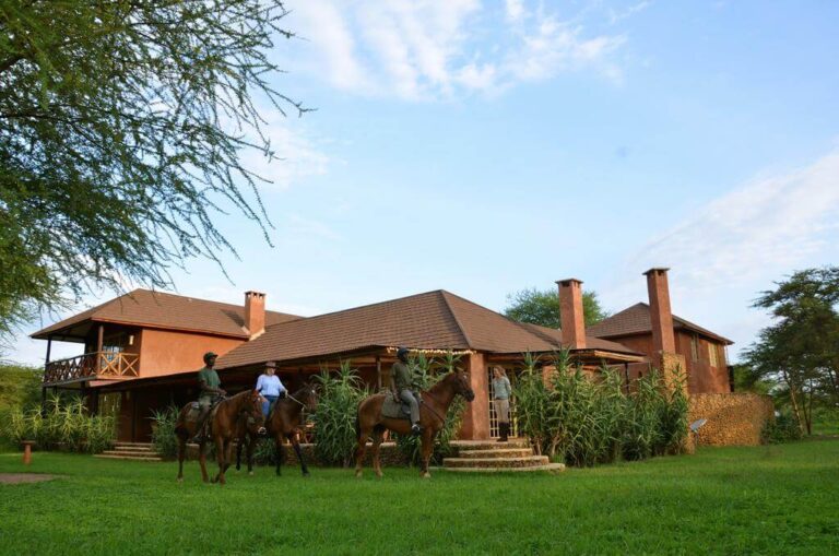 Kili Villa Lodge