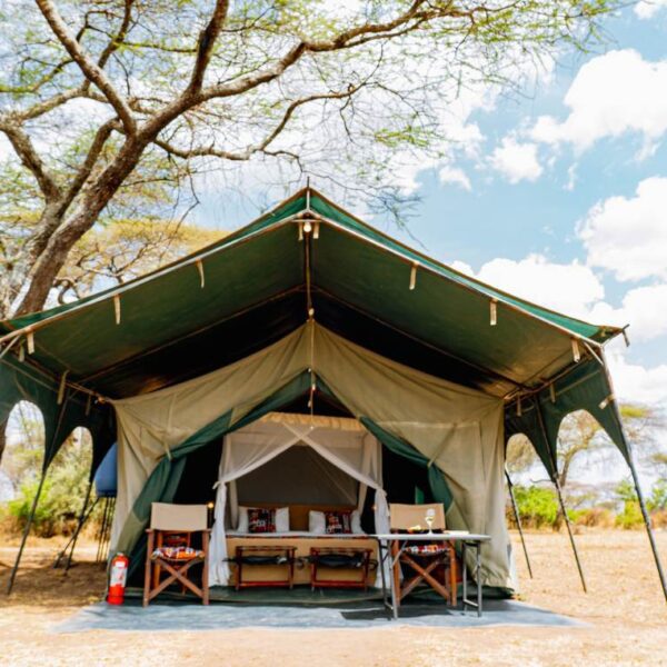 15-Day Top Luxury African Safari Tanzania & Zanzibar