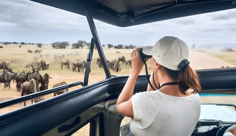 Tanzania Safari Prices Explained: What Americans Should Expect in 2026