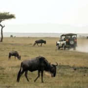 2 Nights / 3 Days Lake Manyara National Park, Ngorongoro Conservation Area & Tarangire National Park