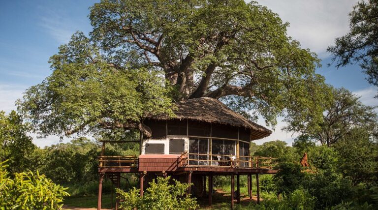 Tarangire Treetops Lodge