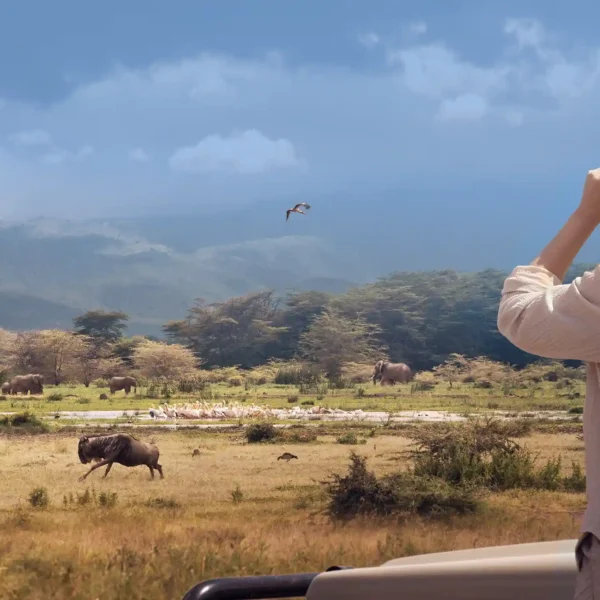 6 Nights / 7 Days Lake Manyara National Park, Serengeti National Park, Ngorongoro Conservation Area