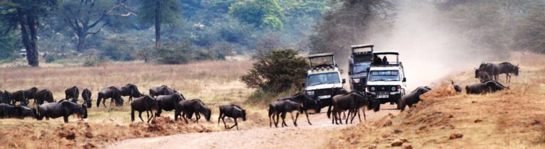 11 Nights / 12 Days Arusha, Lake Manyara National Park, Ngorongoro Conservation Area, Serengeti National Park & Zanzibar
