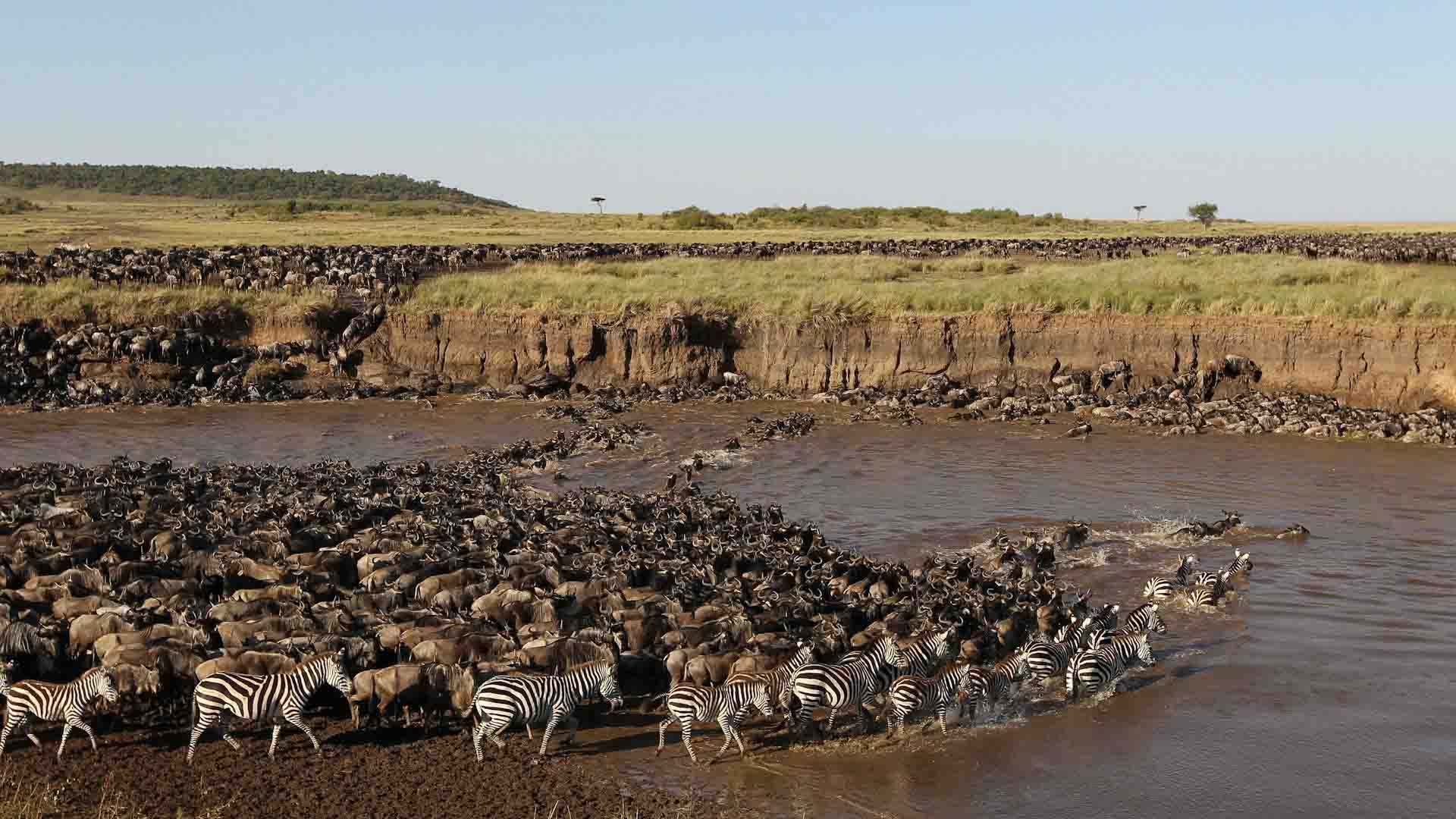 12 Nights / 13 Days     Arusha, Tarangire National Park, Lake Manyara National Park, Serengeti National Park, Ngorongoro Conservation Area & Zanzibar