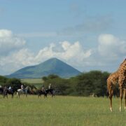13 Nights / 14 Days Arusha, Tarangire National Park, Lake Manyara National Park, Ngorongoro Conservation Area, Serengeti National Park & Zanzibar