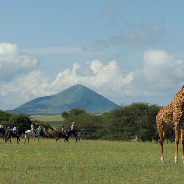 13 Nights / 14 Days  Arusha, Tarangire National Park, Lake Manyara National Park, Ngorongoro Conservation Area, Serengeti National Park & Zanzibar