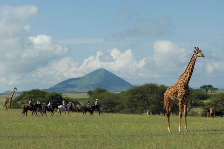 13 Nights / 14 Days Arusha, Tarangire National Park, Lake Manyara National Park, Ngorongoro Conservation Area, Serengeti National Park & Zanzibar