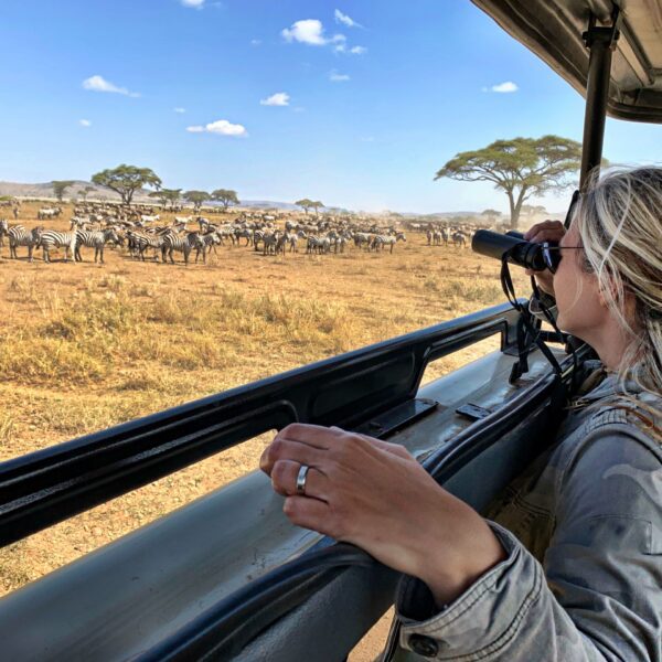 3-Day Fly in Serengeti Luxury Safari (Option B)