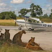 3-Day Fly in Serengeti Luxury Safari